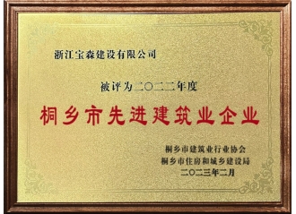 桐鄉(xiāng)市先進建筑業(yè)企業(yè)